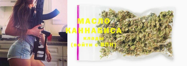 крисы Надым
