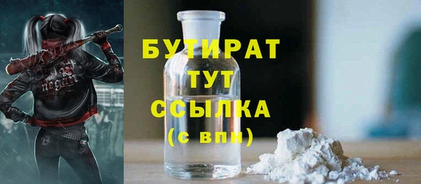 крисы Надым