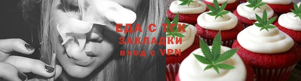 крисы Надым