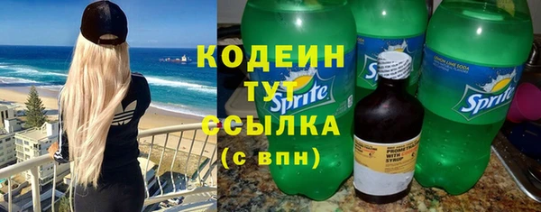 крисы Надым