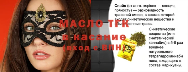 крисы Надым