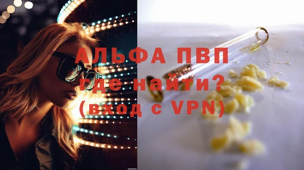 крисы Надым